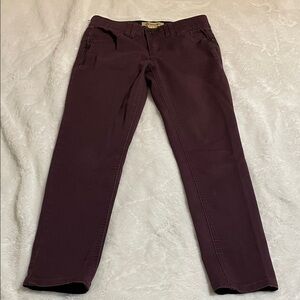 Democracy Deep Purple Skinny Jeans